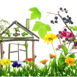 WhatsApp Image 2020-02-12 at 5.33.30 PM