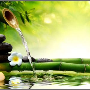 WhatsApp Image 2020-02-14 at 3.20.49 AM